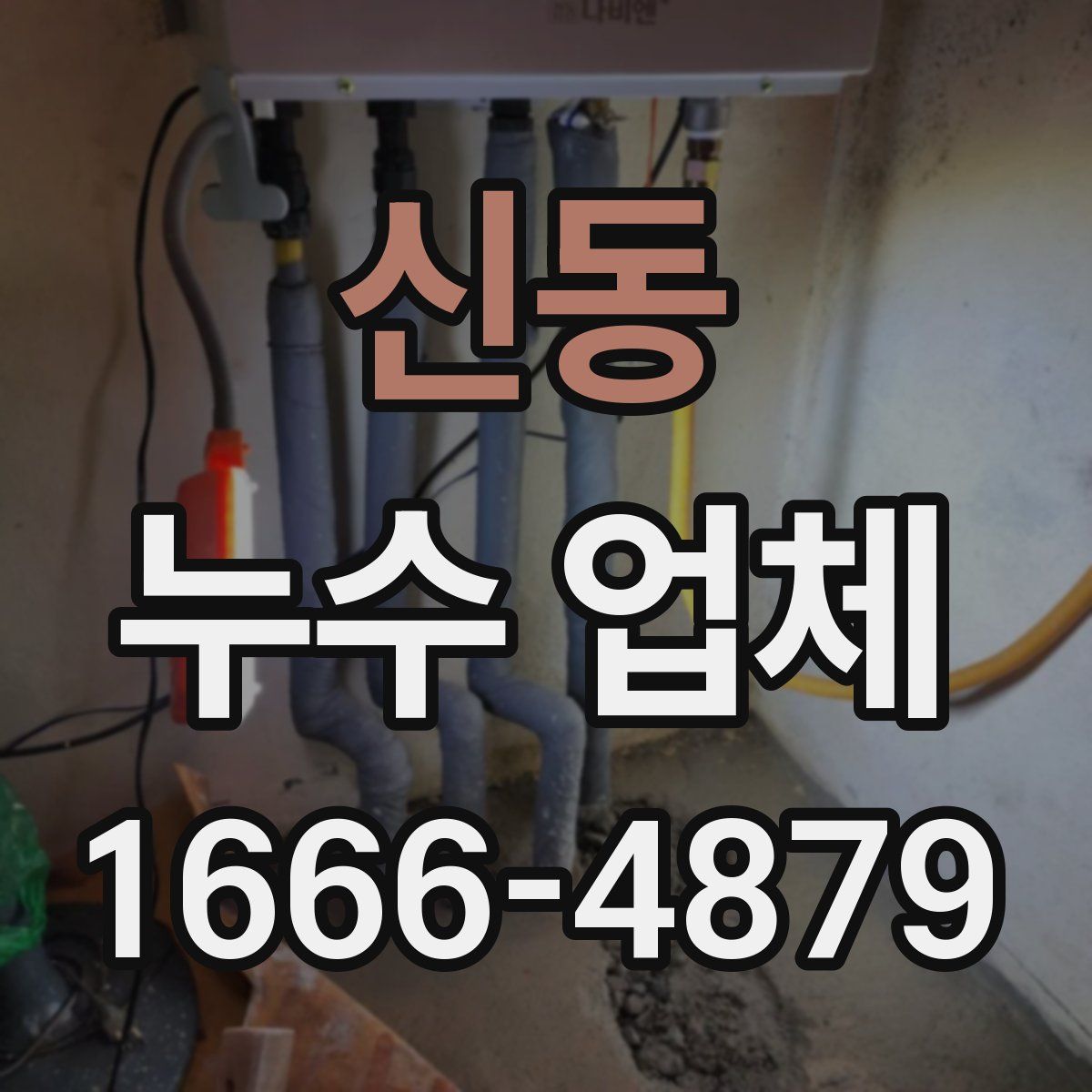 신동 누수 업체