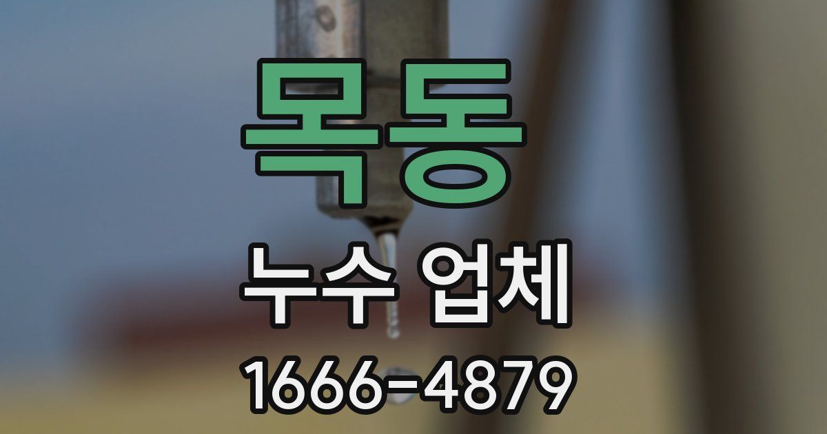 목동 누수 업체
