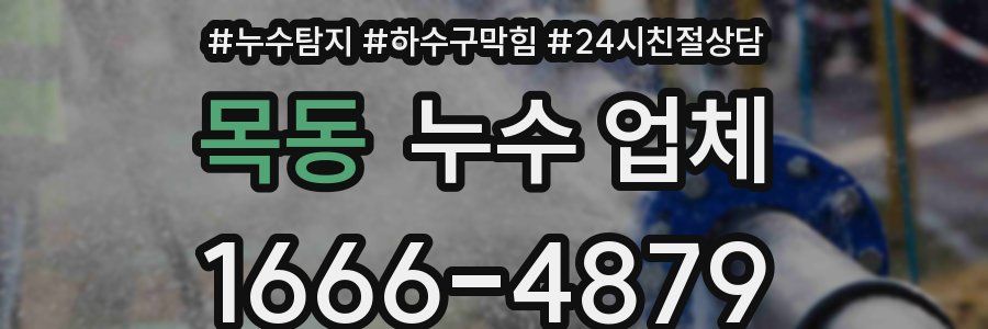 목동 누수 업체