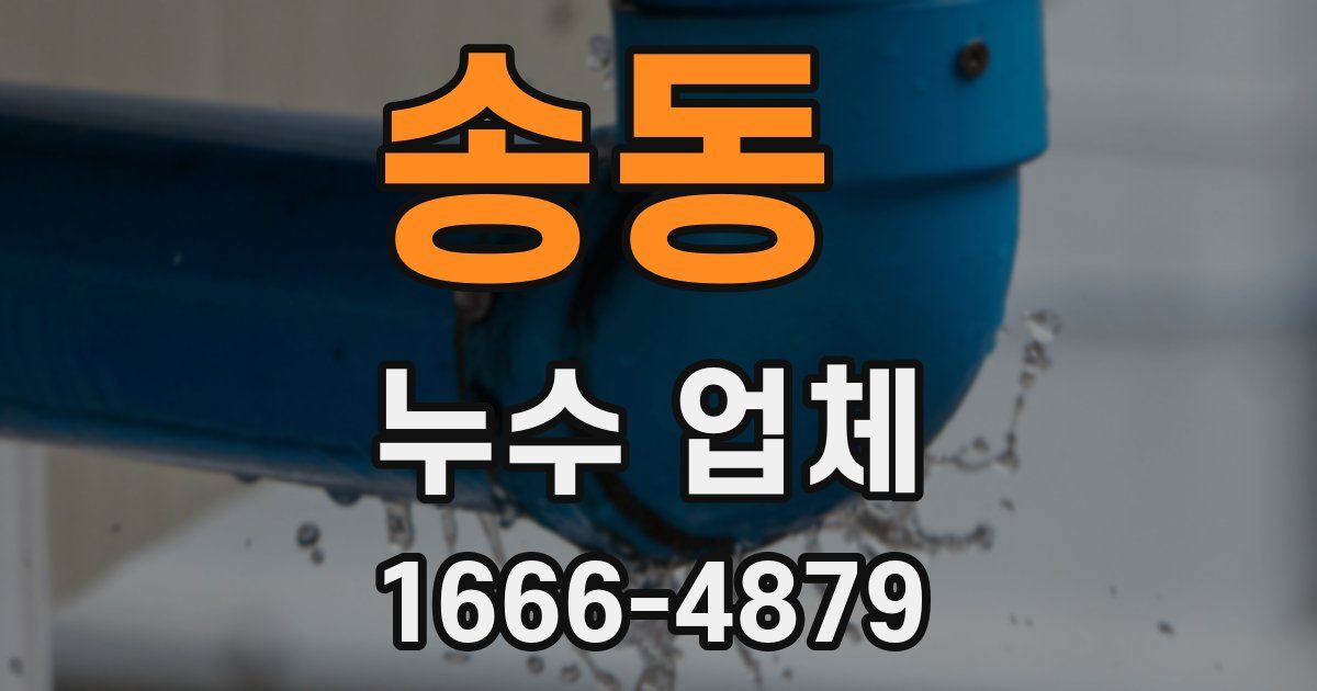 송동 누수 업체