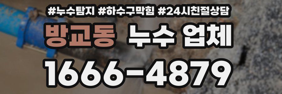 방교동 누수 업체
