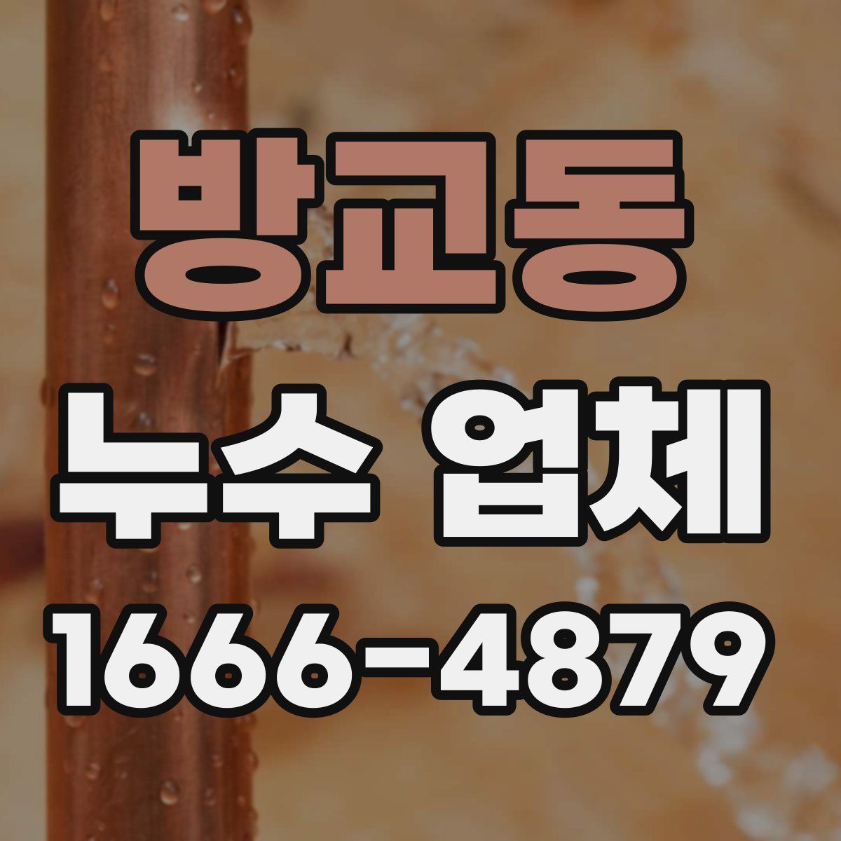 방교동 누수 업체