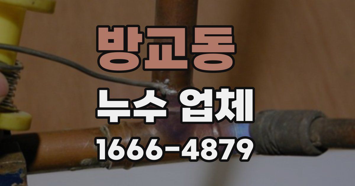 방교동 누수 업체
