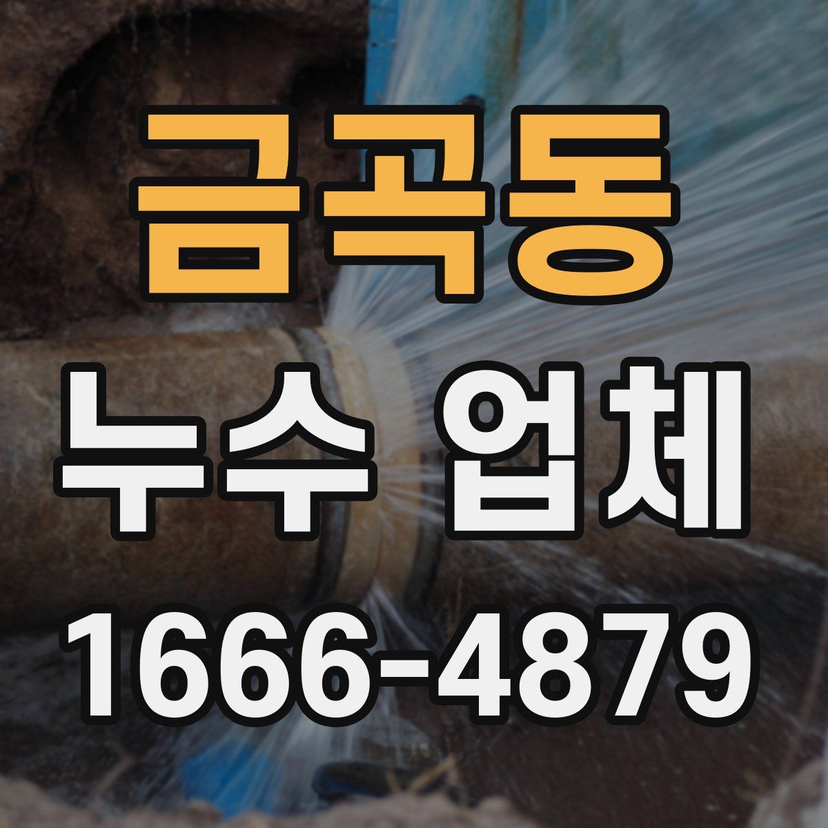 금곡동 누수 업체