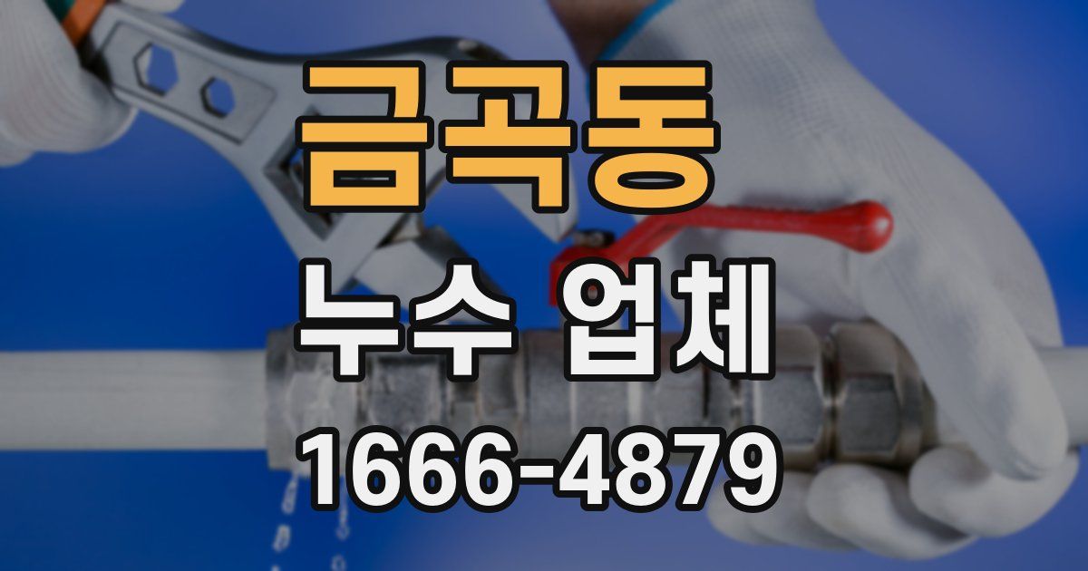 금곡동 누수 업체