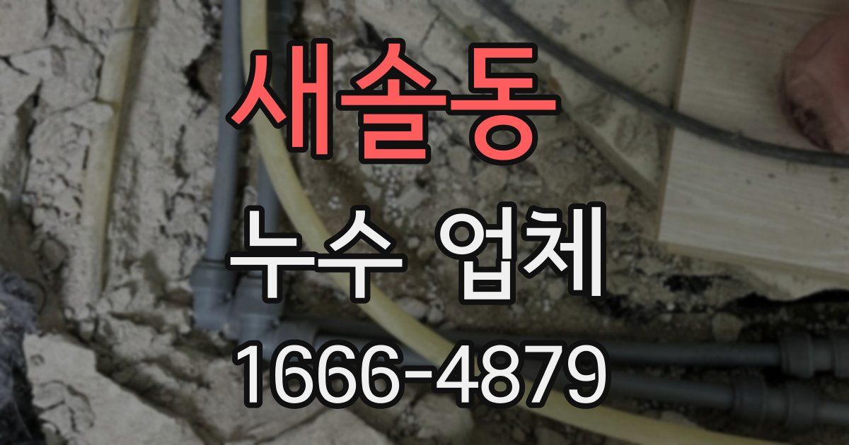 새솔동 누수 업체