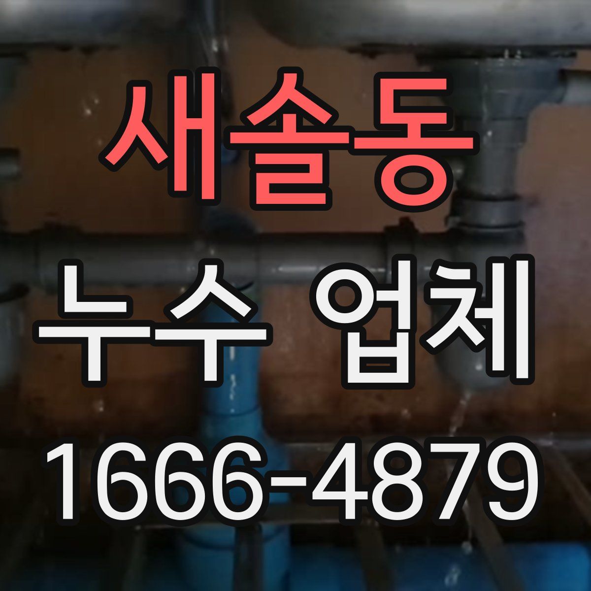 새솔동 누수 업체