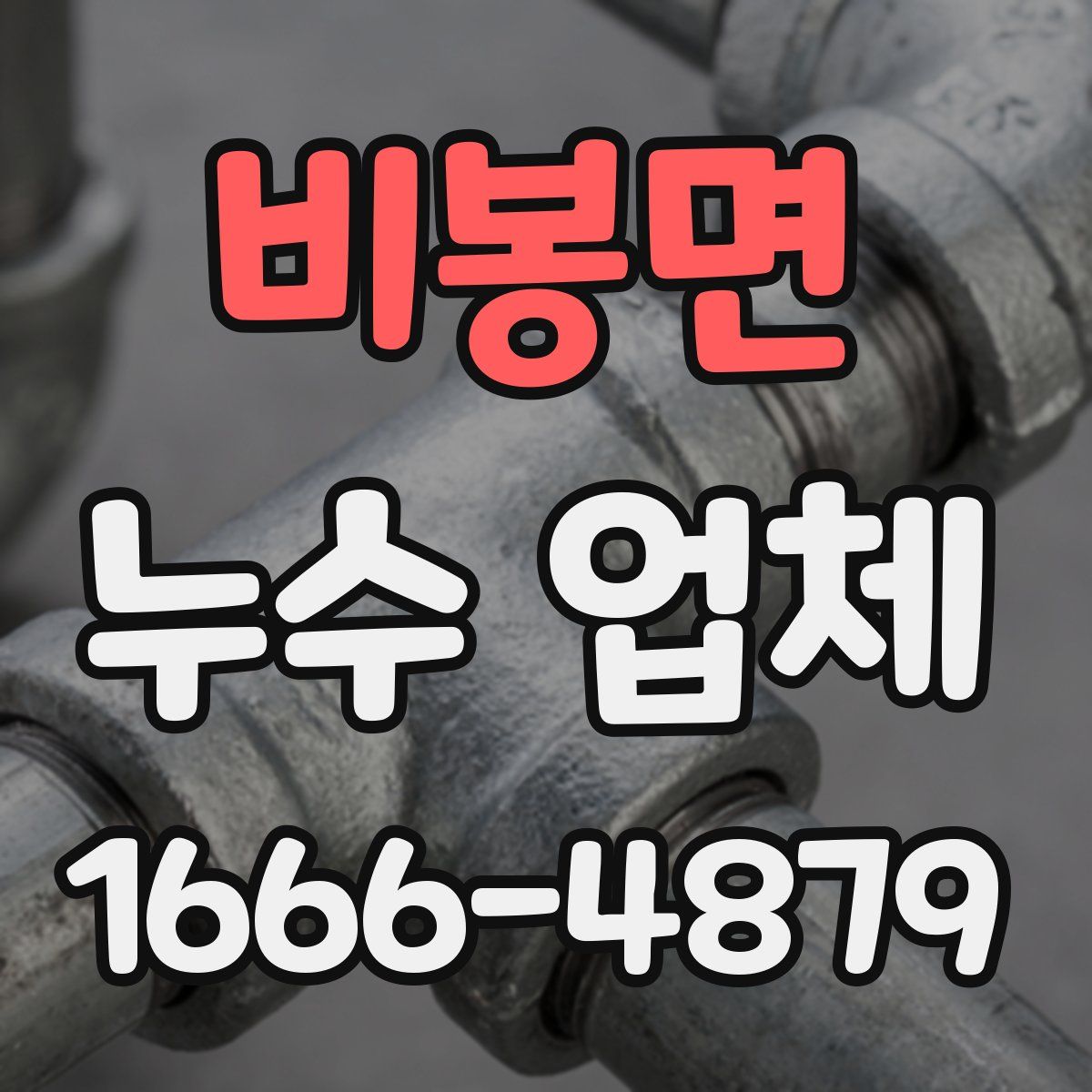 비봉면 누수 업체