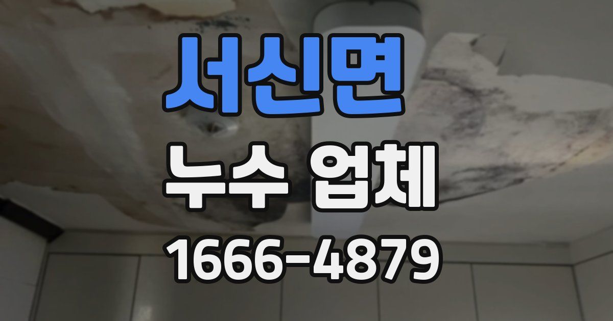 서신면 누수 업체