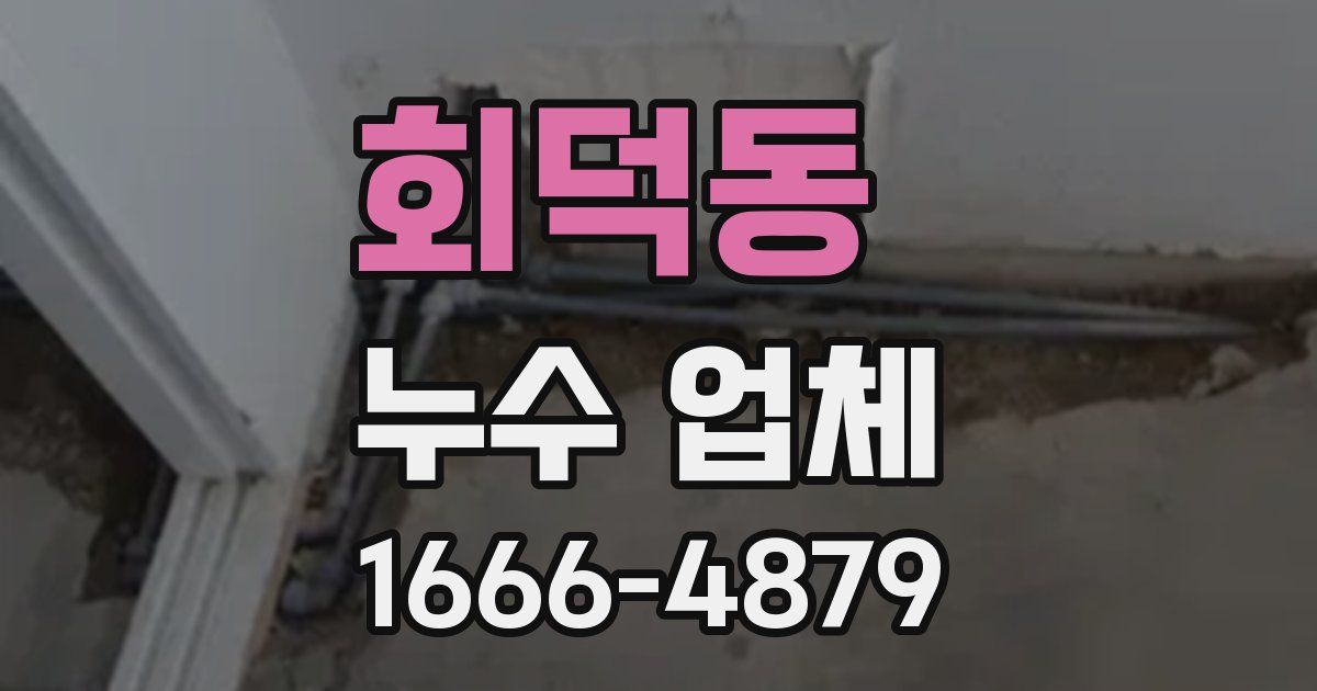 회덕동 누수 업체