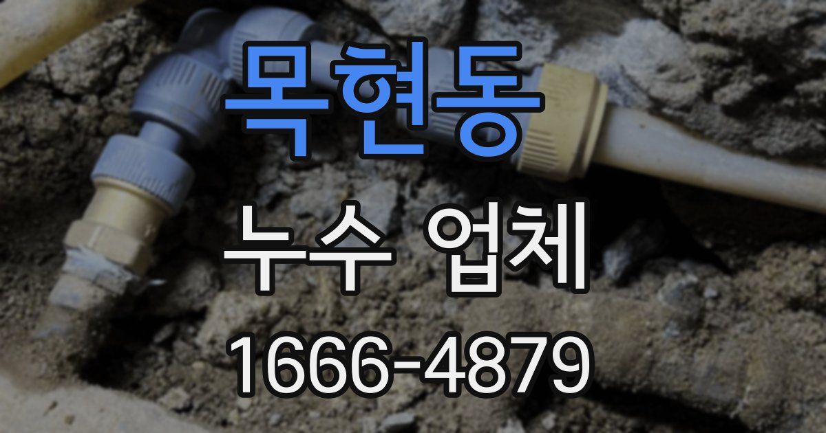 목현동 누수 업체