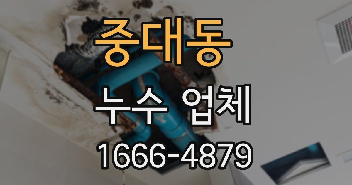중대동 누수 업체