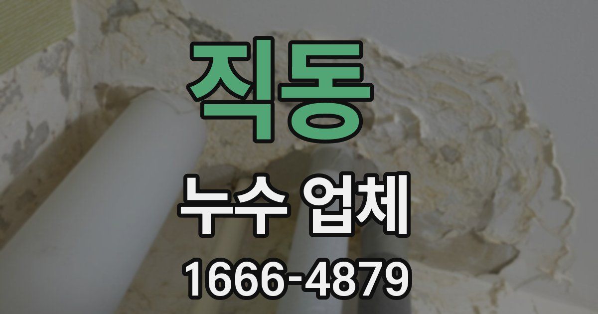 직동 누수 업체