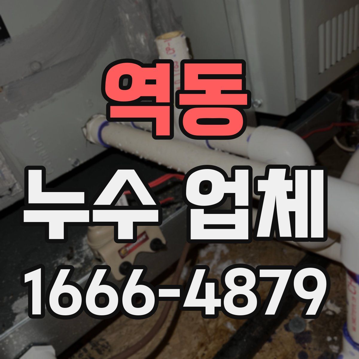 역동 누수 업체