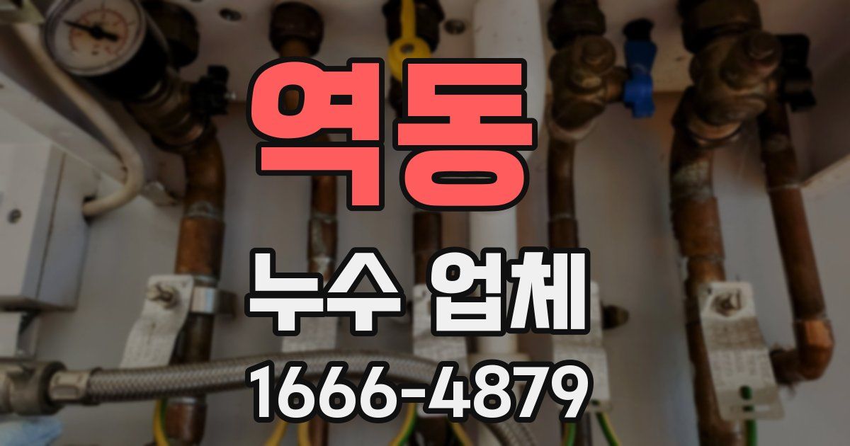 역동 누수 업체