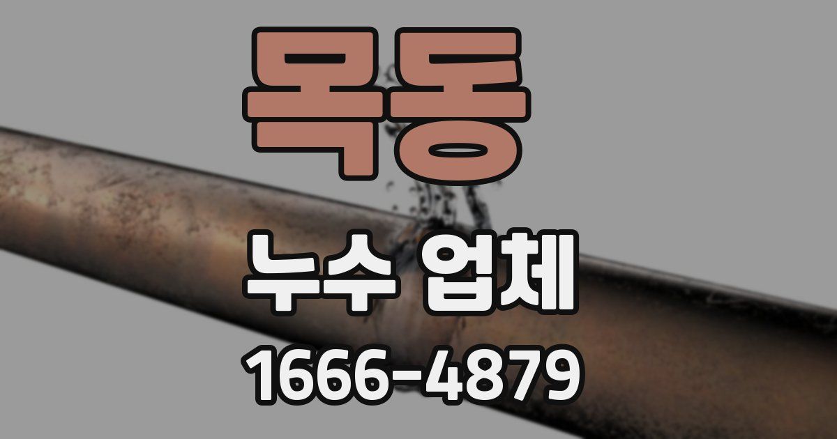 목동 누수 업체