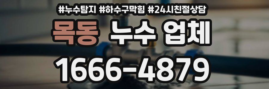 목동 누수 업체