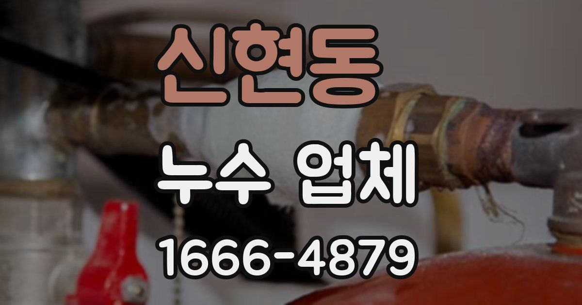 신현동 누수 업체