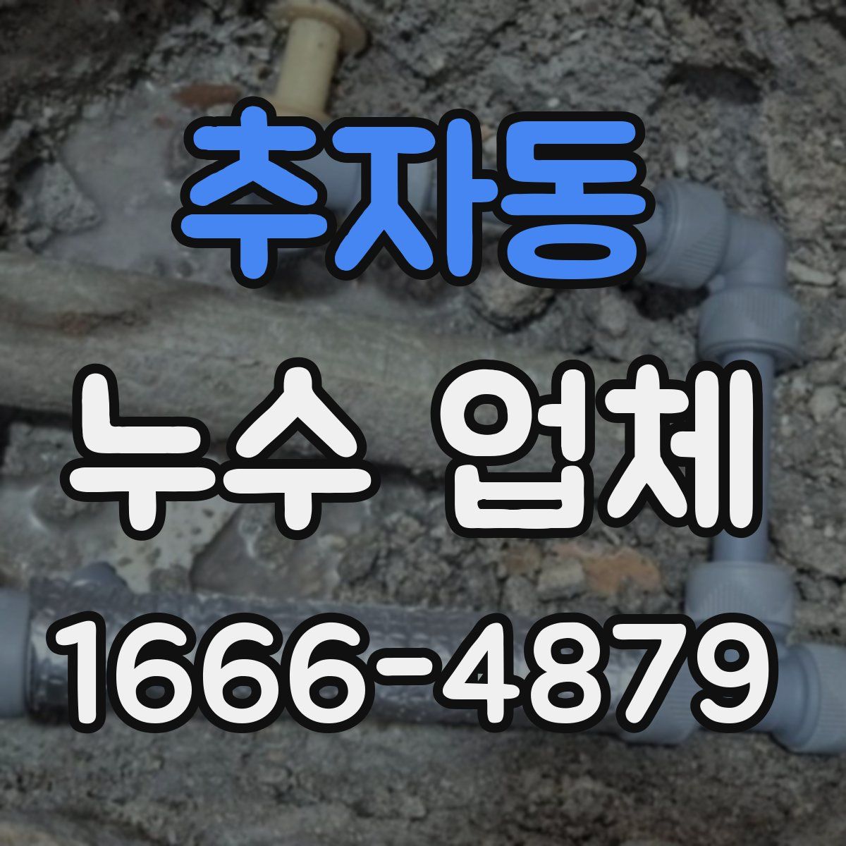 추자동 누수 업체