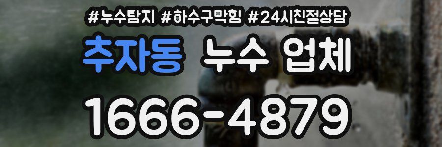 추자동 누수 업체