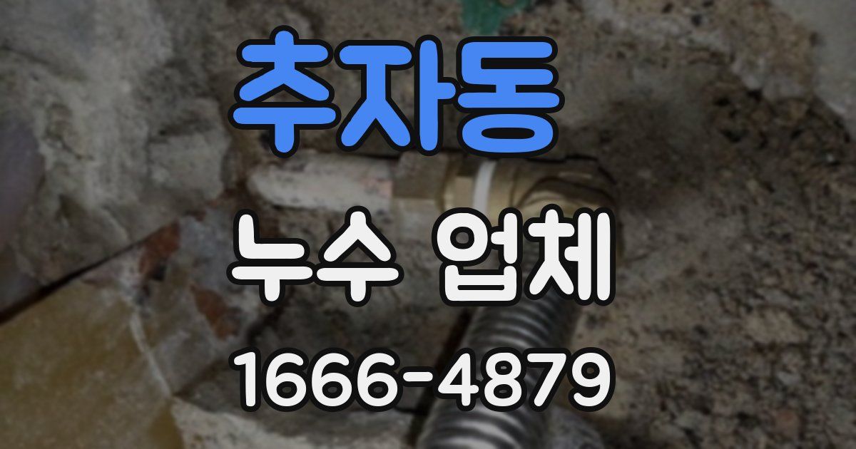 추자동 누수 업체