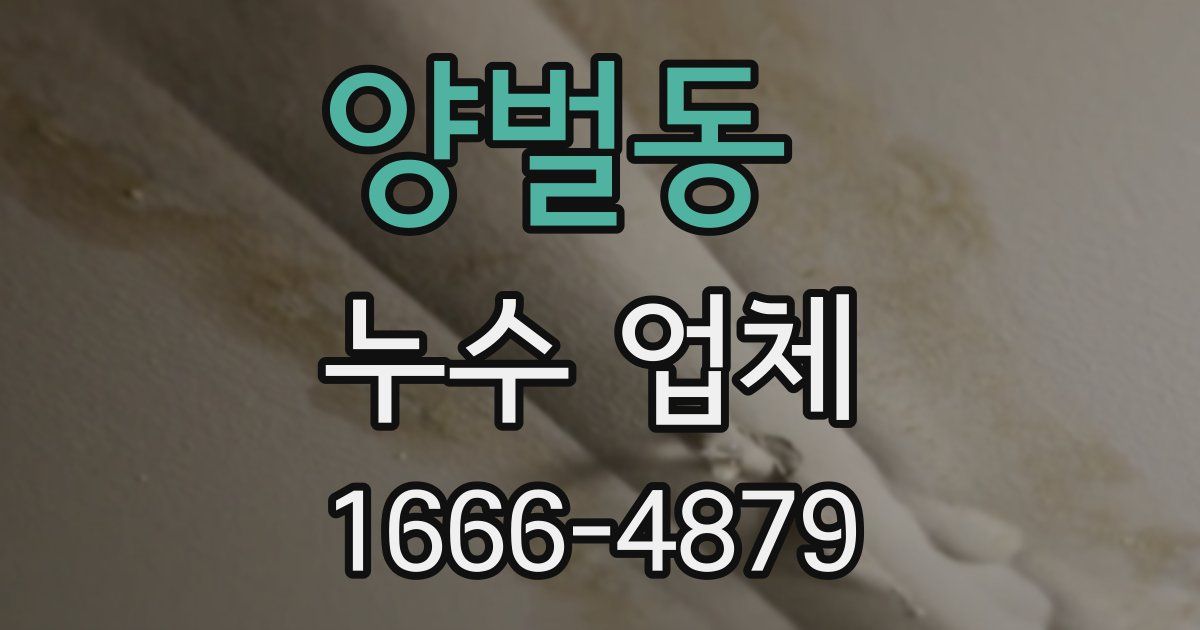 양벌동 누수 업체