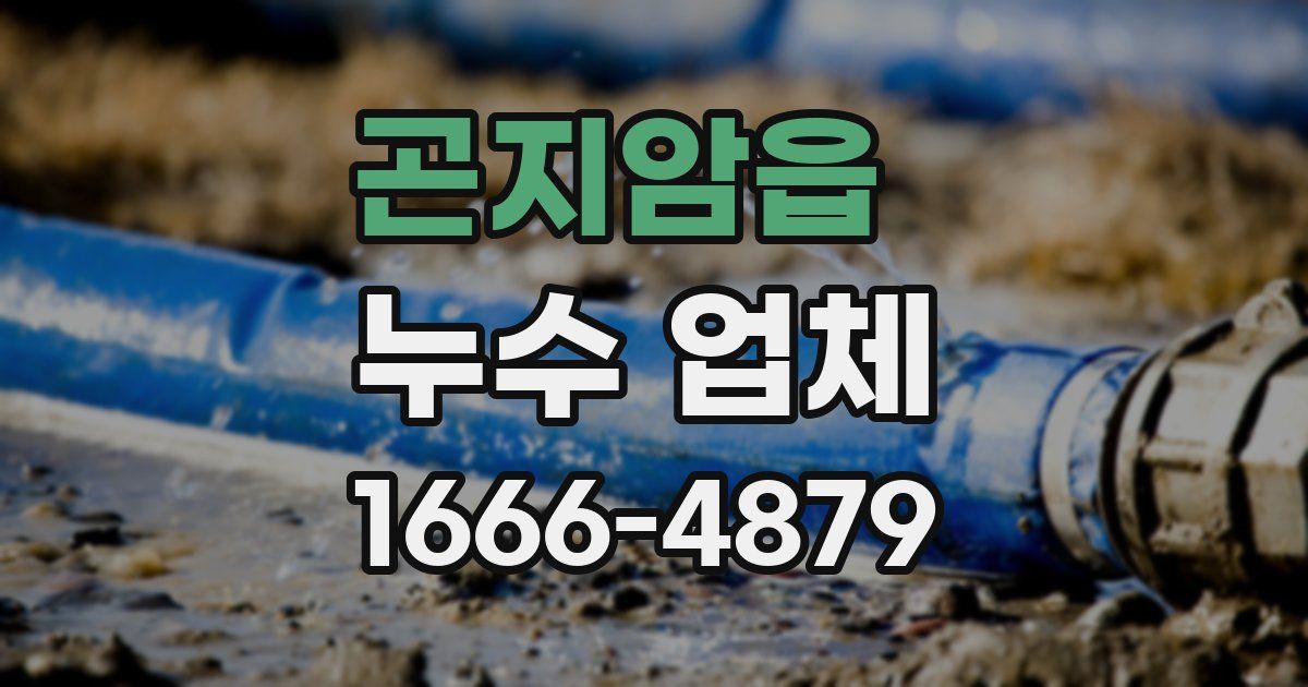 곤지암읍 누수 업체