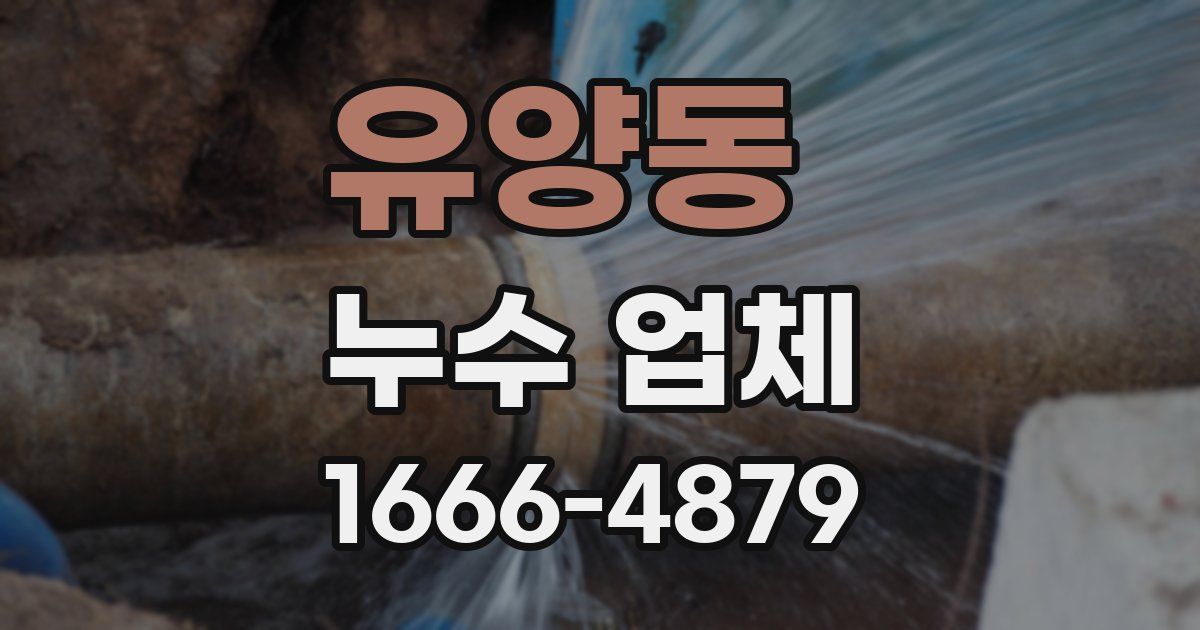 유양동 누수 업체