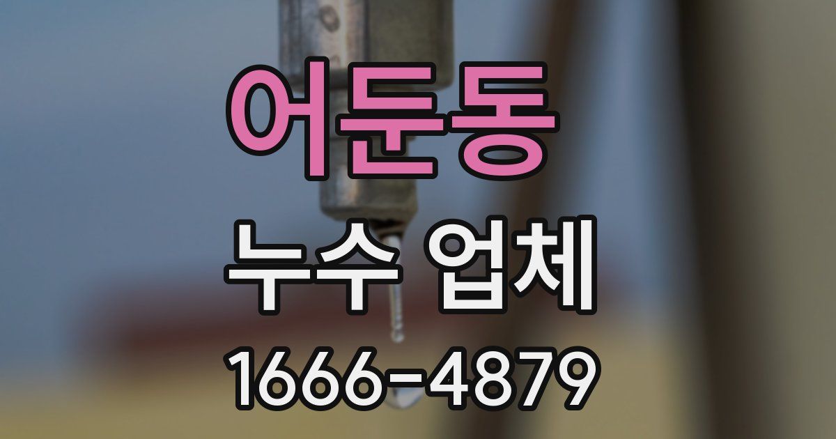 어둔동 누수 업체