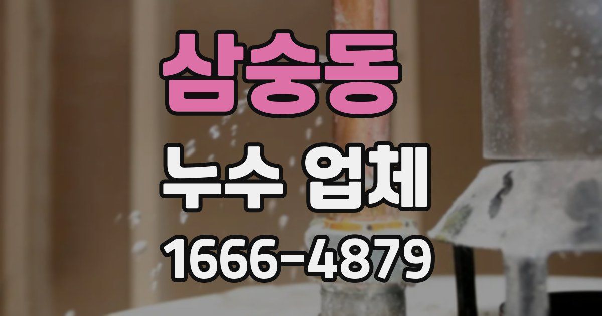 삼숭동 누수 업체
