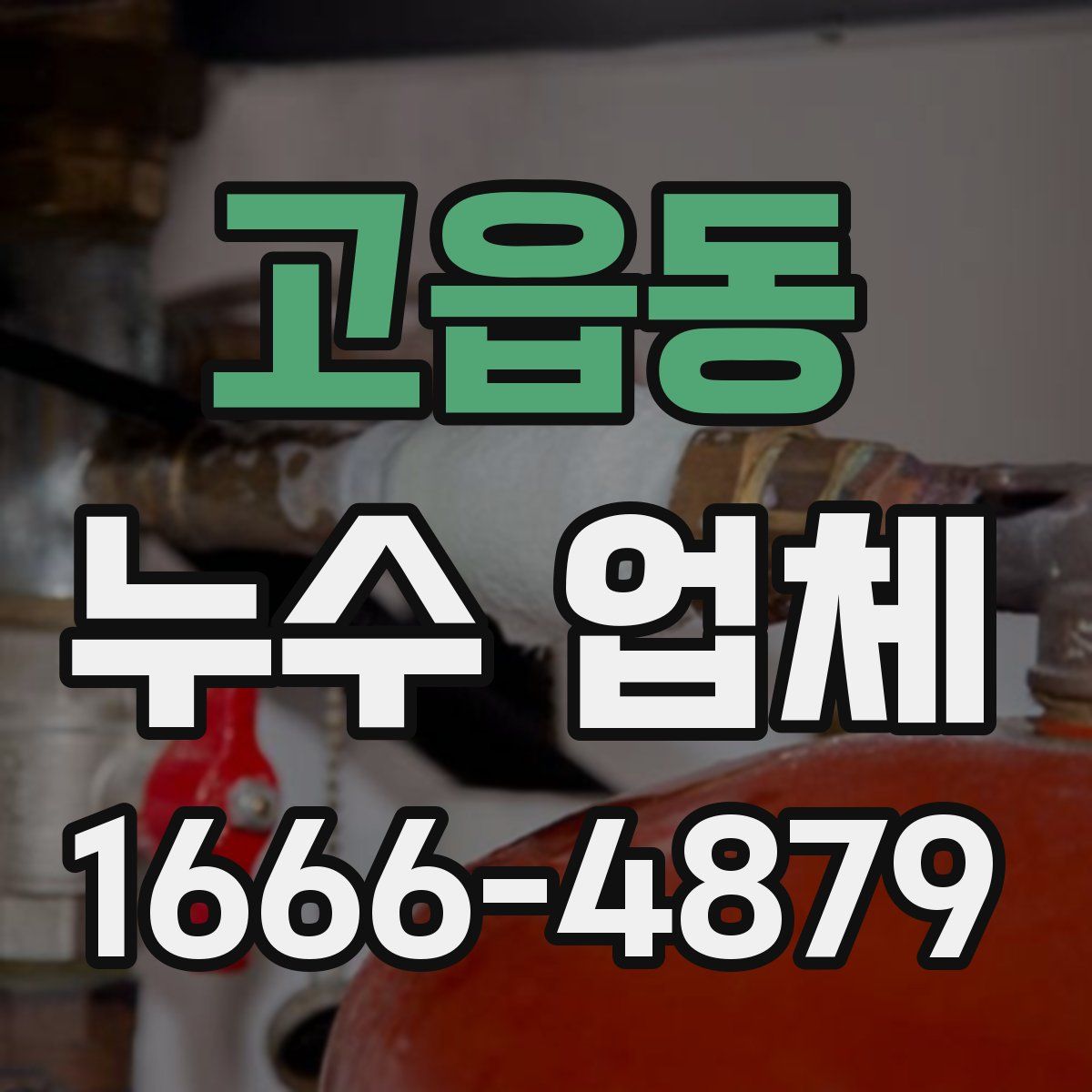 고읍동 누수 업체