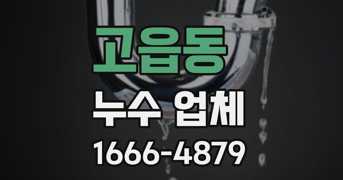 고읍동 누수 업체