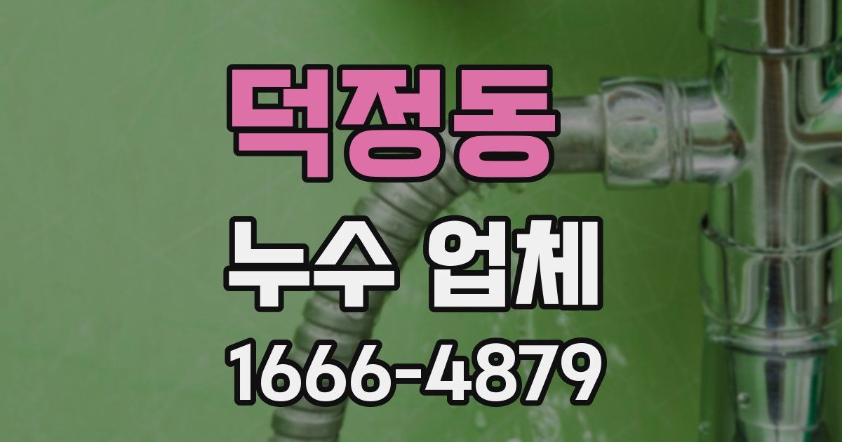 덕정동 누수 업체