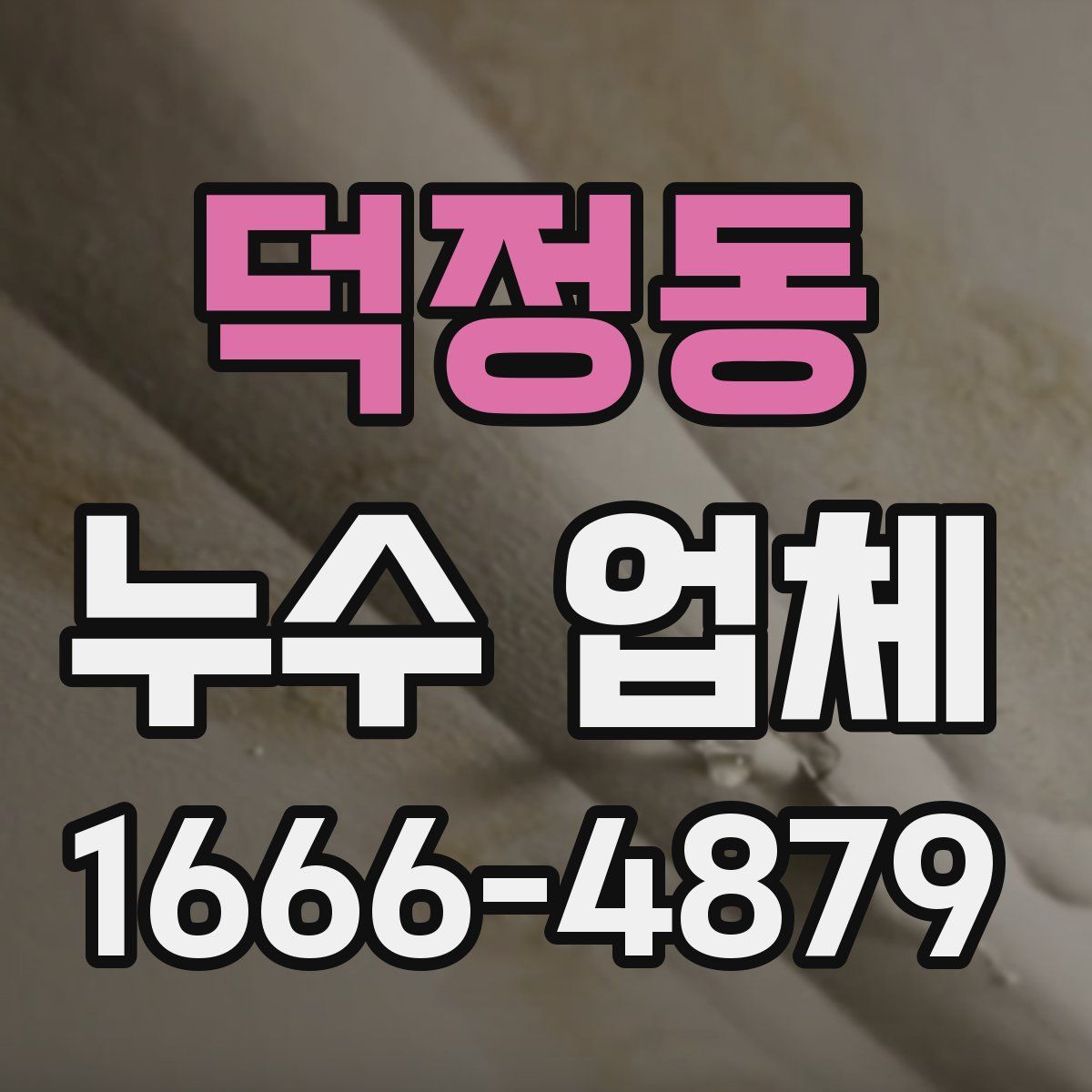 덕정동 누수 업체