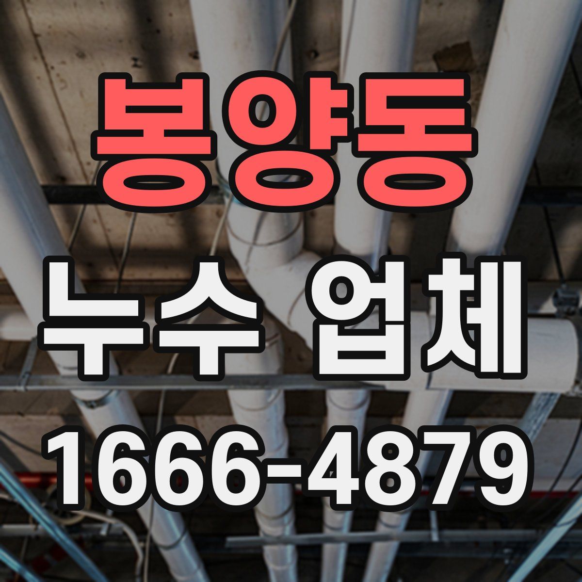 봉양동 누수 업체
