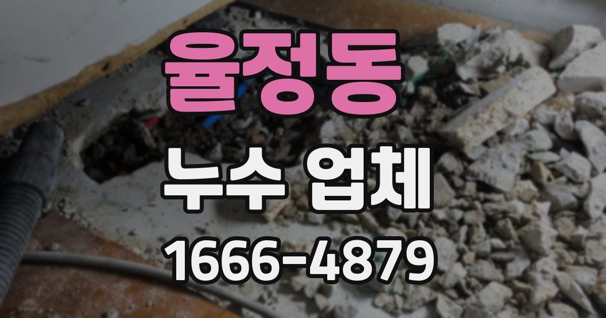 율정동 누수 업체