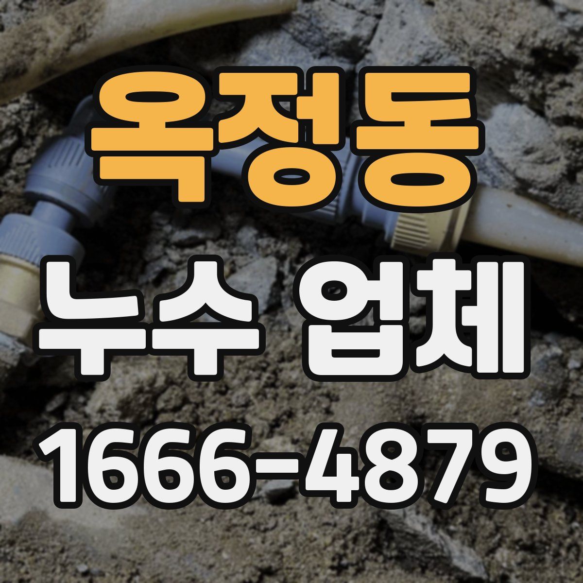 옥정동 누수 업체