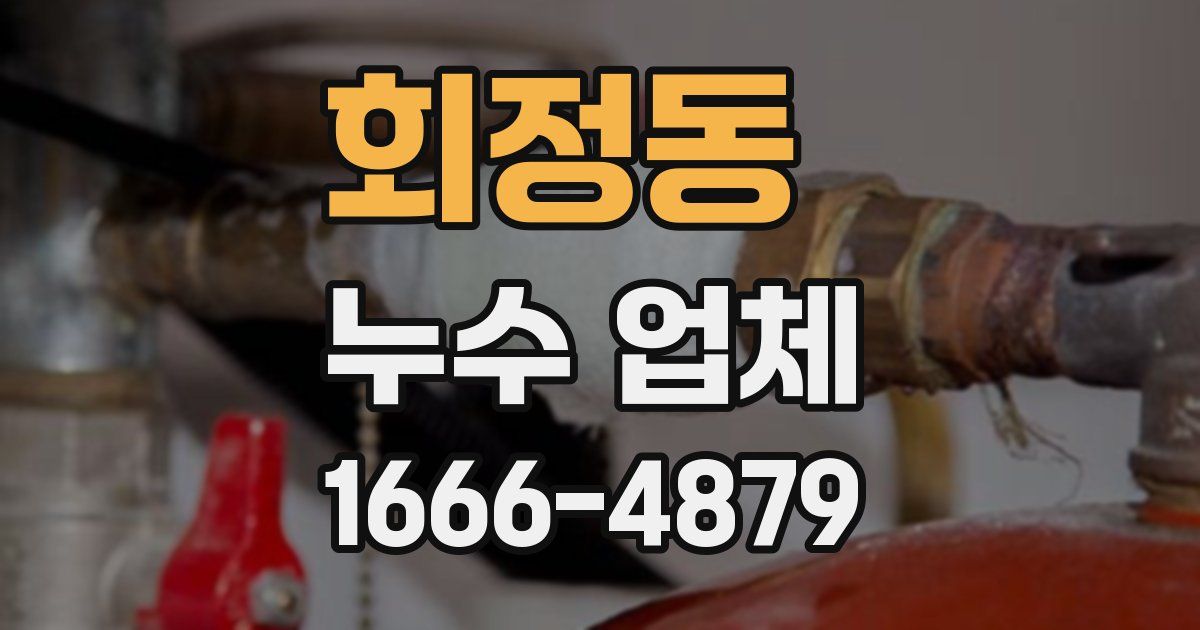 회정동 누수 업체