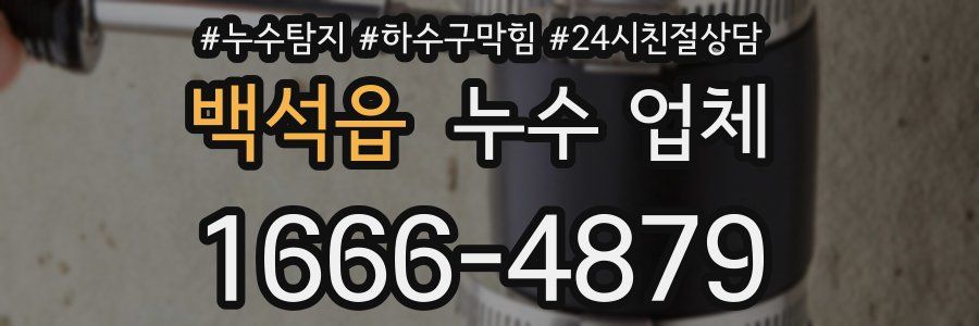 백석읍 누수 업체