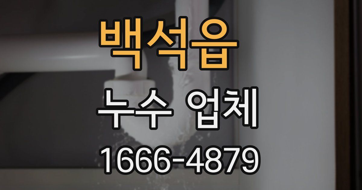백석읍 누수 업체