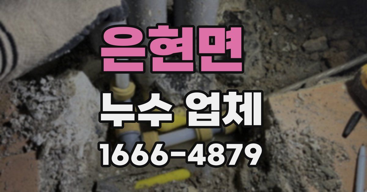 은현면 누수 업체