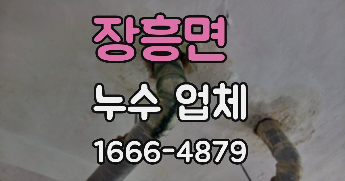 장흥면 누수 업체