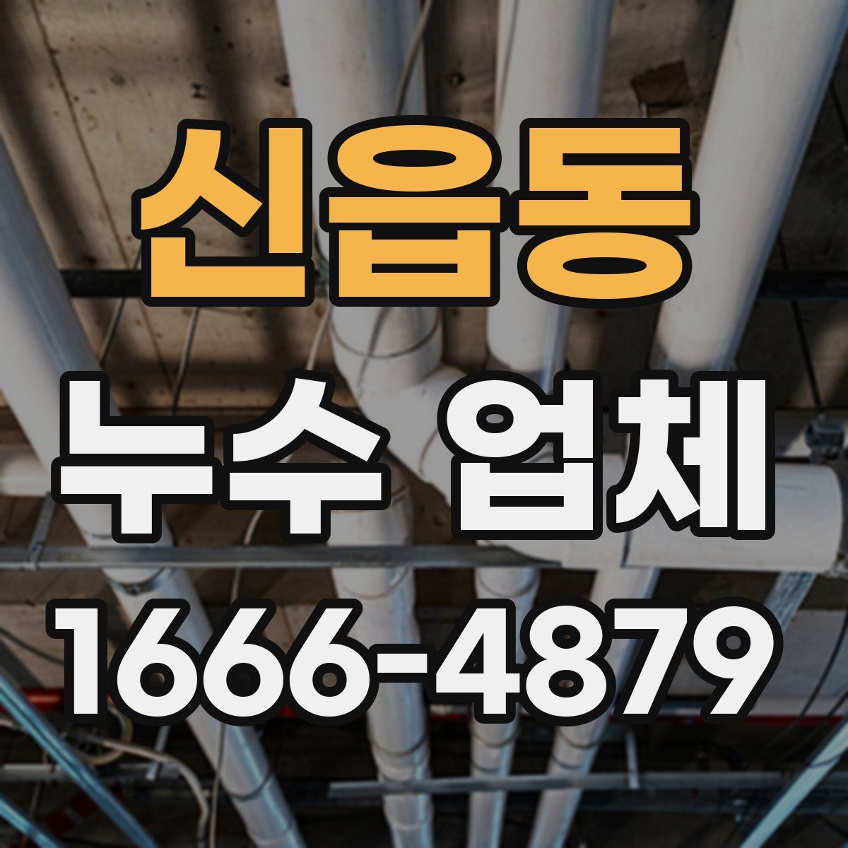 신읍동 누수 업체