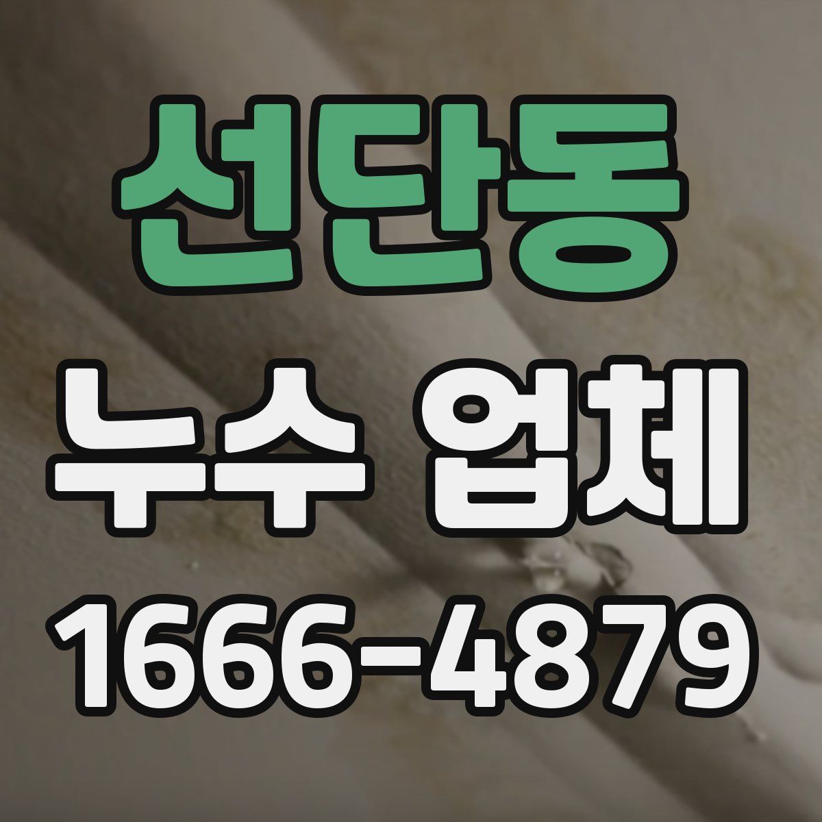 선단동 누수 업체