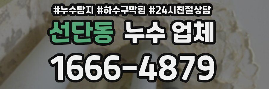 선단동 누수 업체