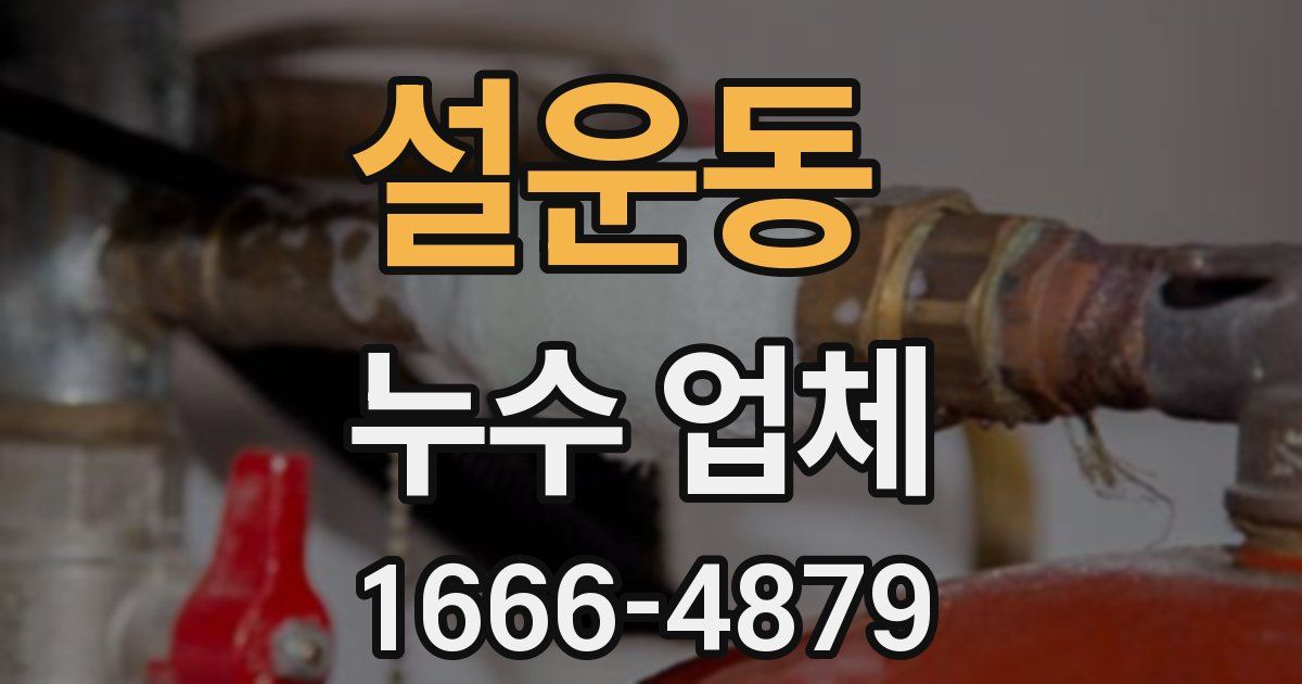 설운동 누수 업체