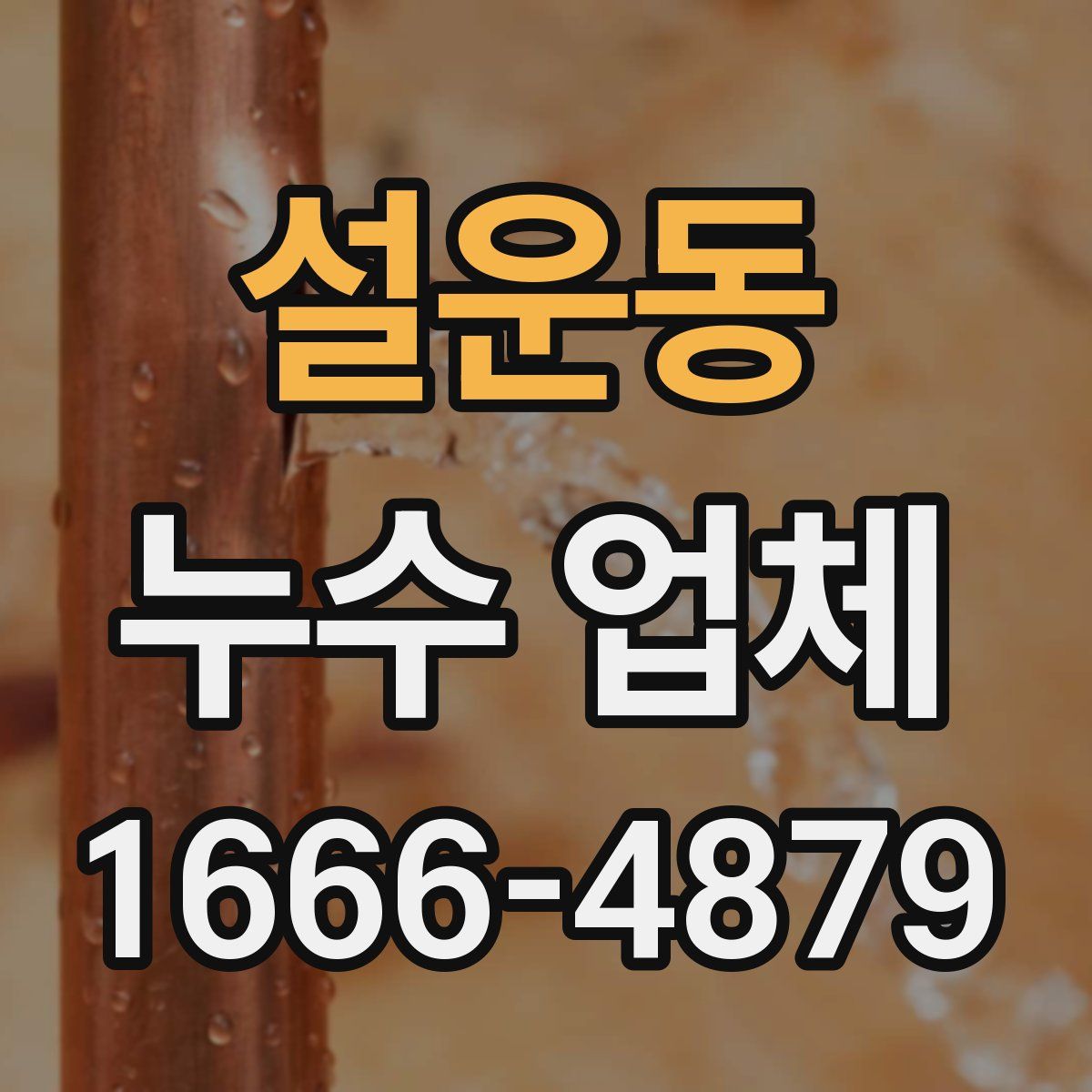 설운동 누수 업체