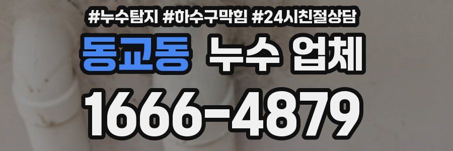 동교동 누수 업체