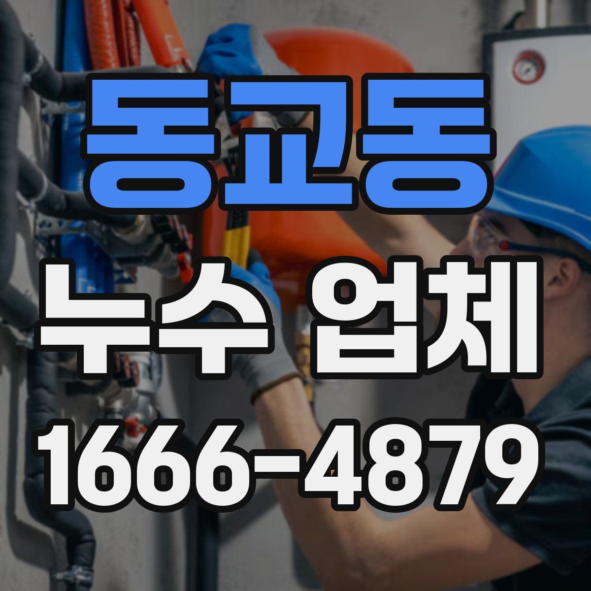 동교동 누수 업체