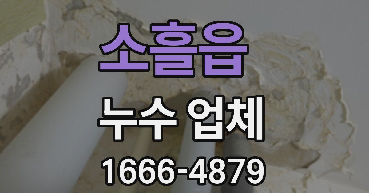 소흘읍 누수 업체